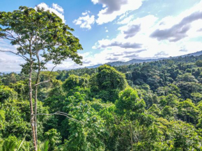 Hotels in Chachagua